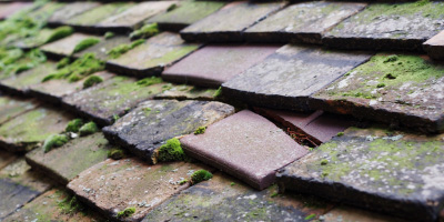 Sutton Gault roof repair costs